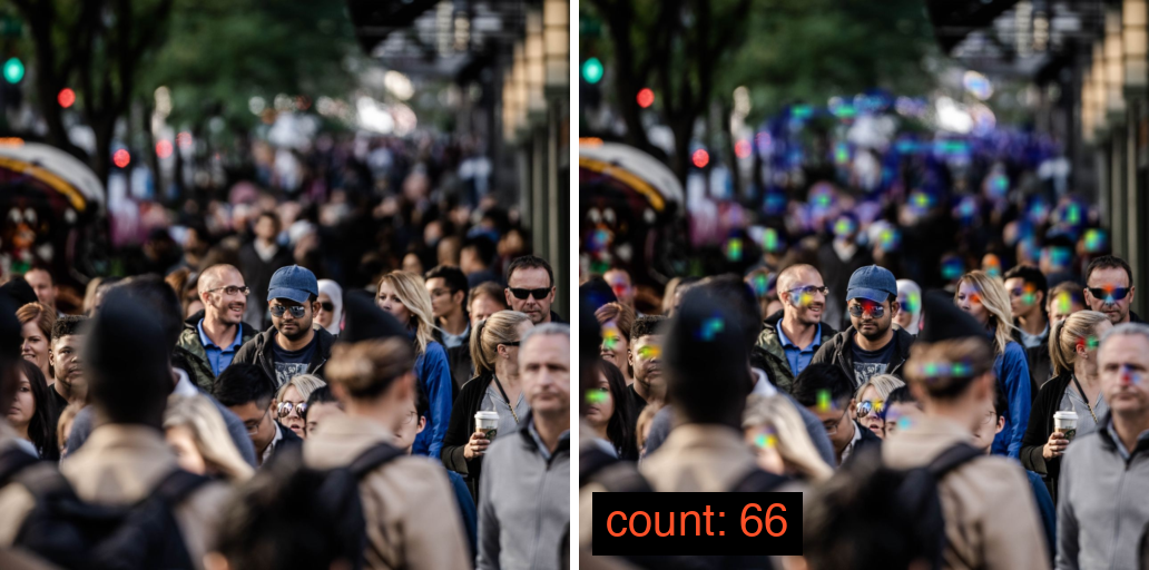DM-Count crowd counting