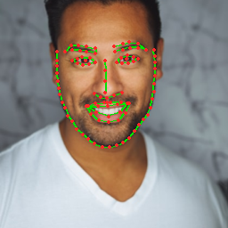 RTMPose-Face β 98-point WFLW face mesh on-device LiteRT GPU